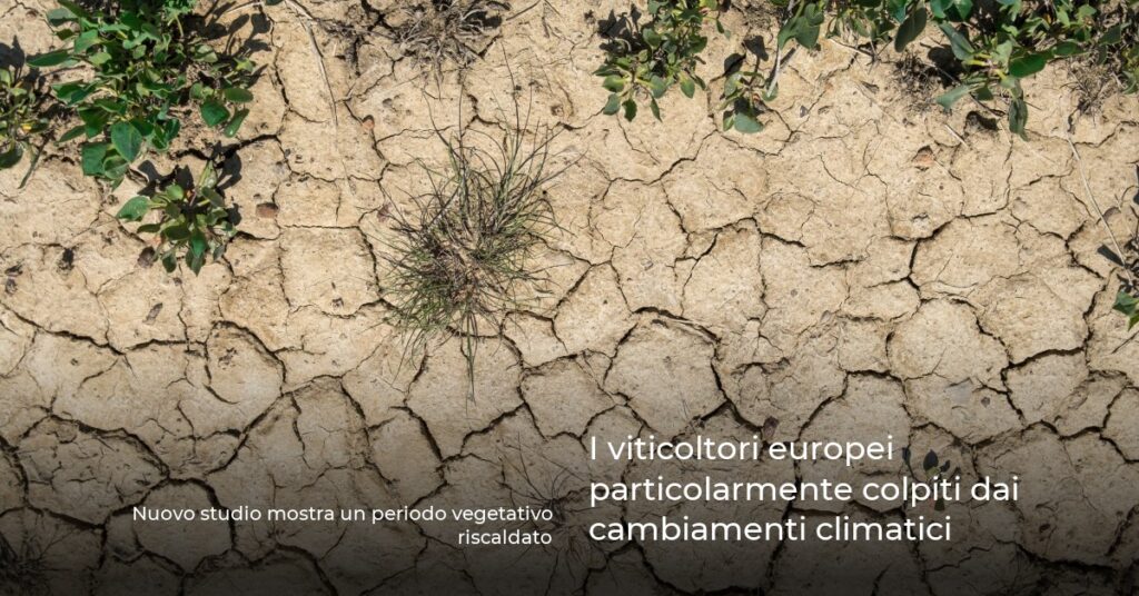 I viticoltori europei particolarmente colpiti dai cambiamenti climatici