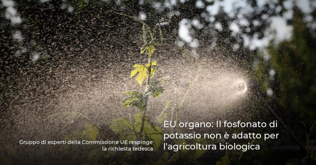 EU organo: Il fosfonato di potassio non è adatto per l’agricoltura biologica