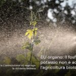 EU organo: Il fosfonato di potassio non è adatto per l’agricoltura biologica