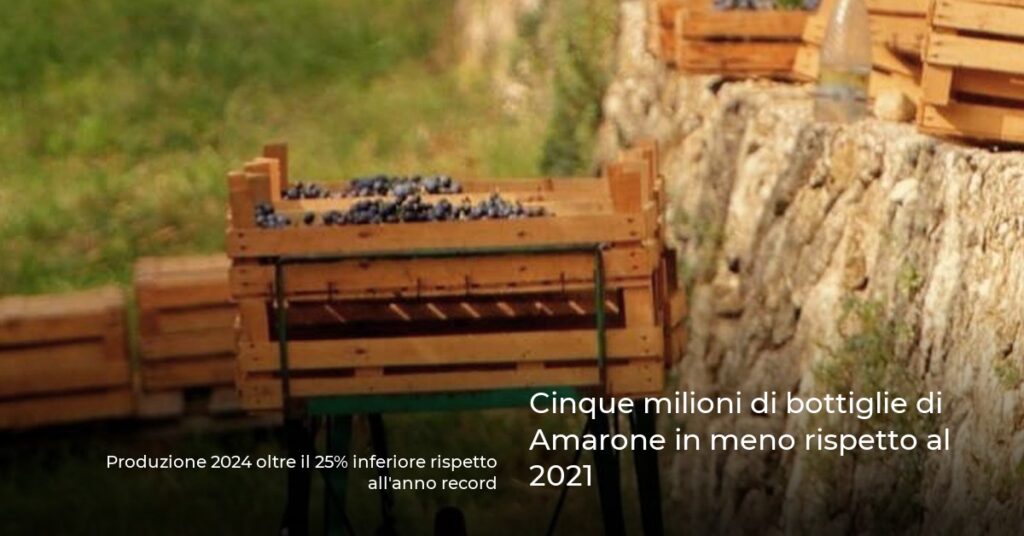 Cinque milioni di bottiglie di Amarone in meno rispetto al 2021