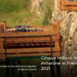 Cinque milioni di bottiglie di Amarone in meno rispetto al 2021
