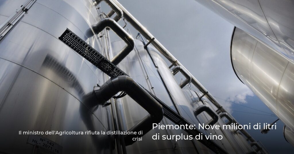 Piemonte: Nove milioni di litri di surplus di vino