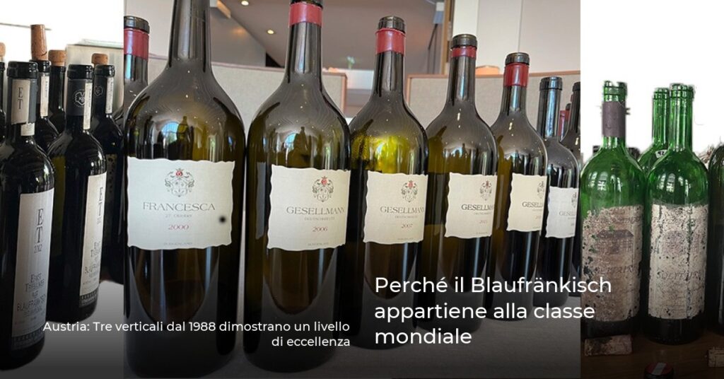 Perché il Blaufränkisch appartiene alla classe mondiale