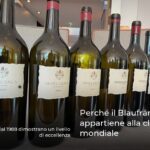 Perché il Blaufränkisch appartiene alla classe mondiale