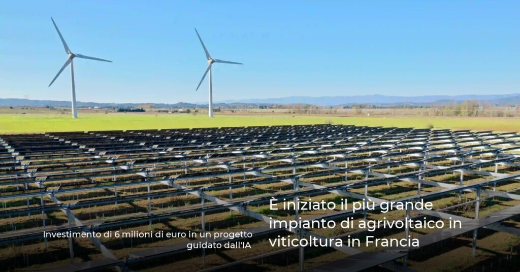È iniziato il più grande impianto di agrivoltaico in viticoltura in Francia