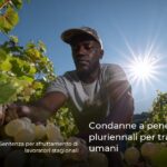 Condanne a pene detentive pluriennali per tratta di esseri umani