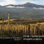 Etna: I turisti proteggono i muretti a secco