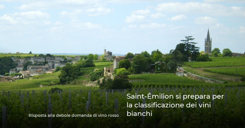Saint-Émilion si prepara per la classificazione dei vini bianchi