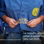 La regione vinicola Nahe rimarrà senza maestà del vino nel 2025