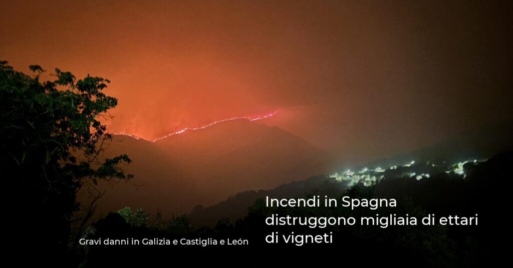 Incendi in Spagna distruggono migliaia di ettari di vigneti