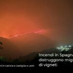 Incendi in Spagna distruggono migliaia di ettari di vigneti