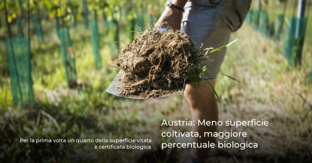Austria: Meno superficie coltivata, maggiore percentuale biologica